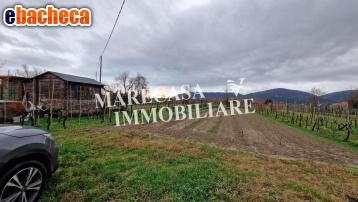 terreno agricolo in vendita a Sarzana