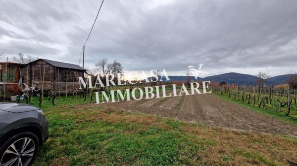 terreno agricolo in vendita a Sarzana