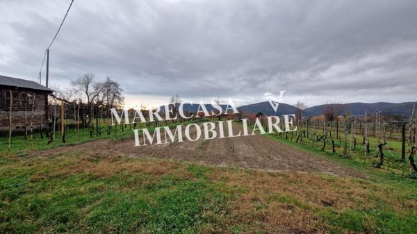 terreno agricolo in vendita a Sarzana