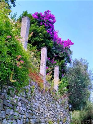 casa indipendente in vendita a Sarzana in zona Falcinello