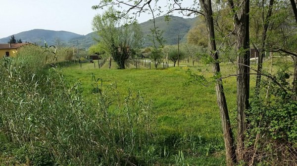 terreno agricolo in vendita a Sarzana