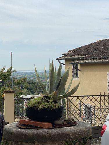 intera palazzina in vendita a Sarzana