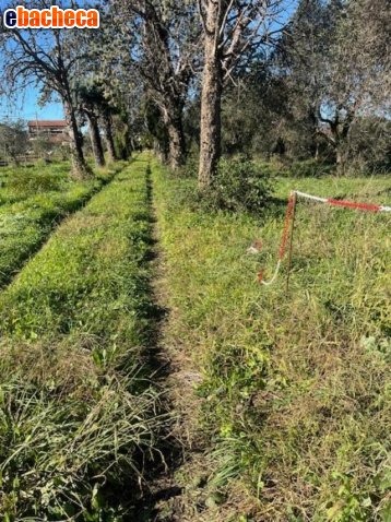 appartamento in vendita a Sarzana
