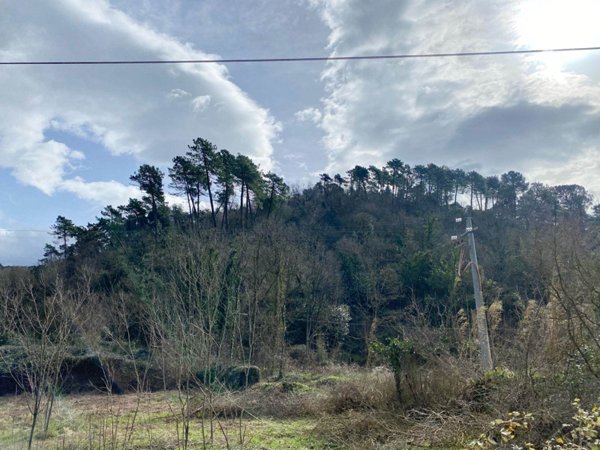 terreno agricolo in vendita a Sarzana in zona Falcinello