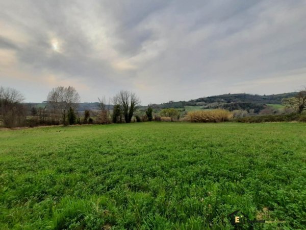 terreno agricolo in vendita a Sarzana