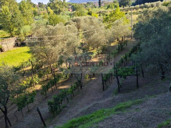 terreno agricolo in vendita a Sarzana in zona Falcinello