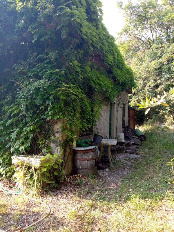 terreno agricolo in vendita a Sarzana