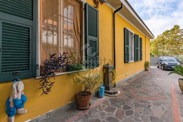 esavano in vendita a Sarzana