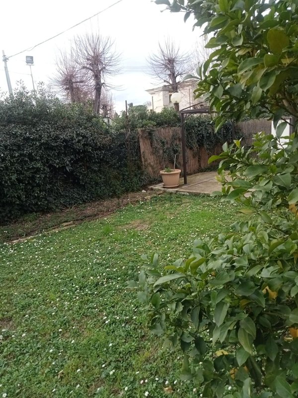 casa indipendente in vendita a Sarzana