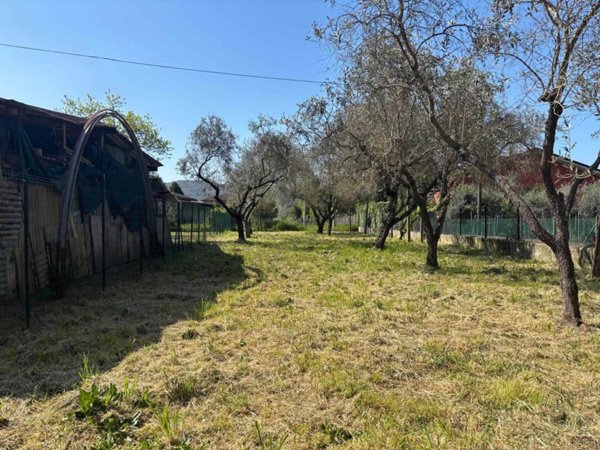 appartamento in vendita a Sarzana
