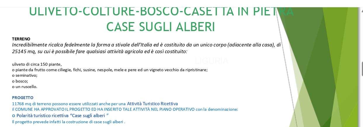 terreno agricolo in vendita a Sarzana