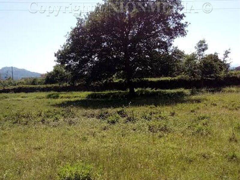 terreno agricolo in vendita a Sarzana