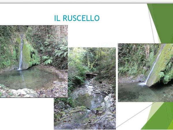 terreno agricolo in vendita a Sarzana