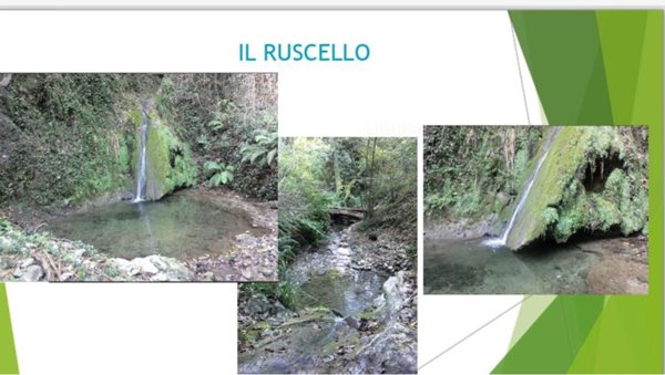 terreno agricolo in vendita a Sarzana