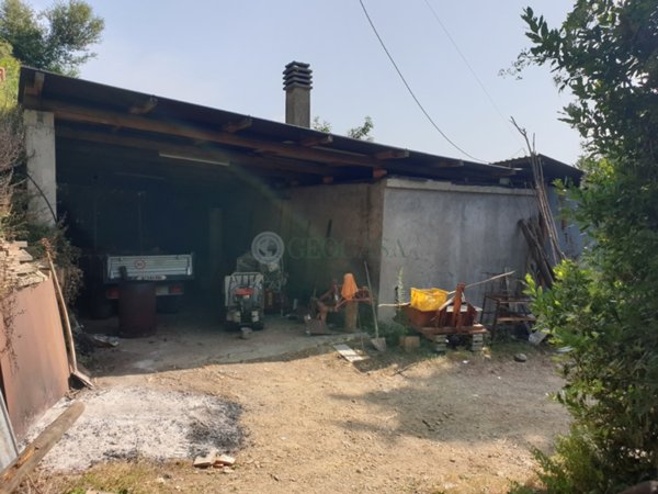 terreno agricolo in vendita a Sarzana in zona Falcinello