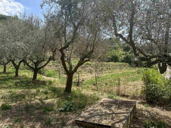 casa indipendente in vendita a Sarzana in zona Falcinello