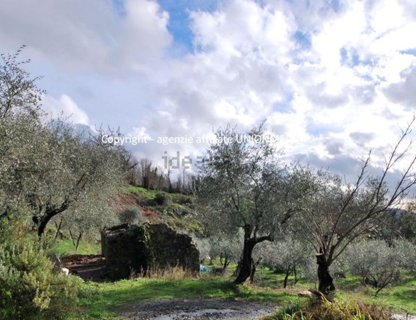 quadrivano in vendita a Sarzana