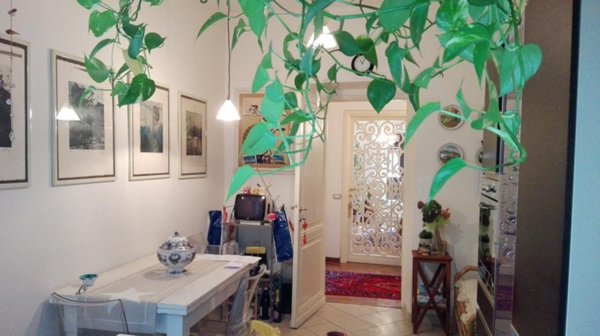 appartamento in vendita a Sarzana