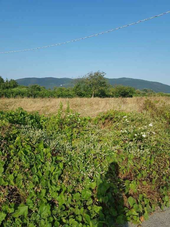 terreno agricolo in vendita a Sarzana