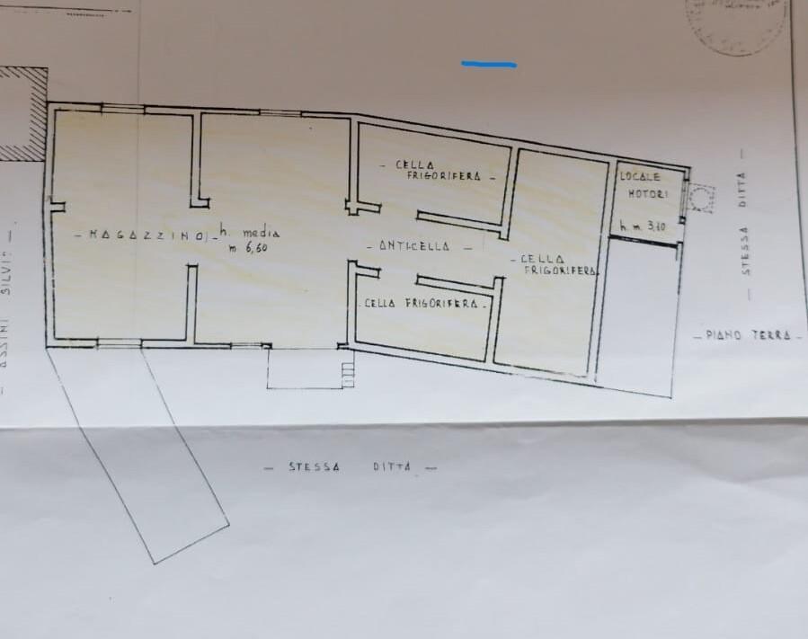 appartamento in vendita a Sarzana