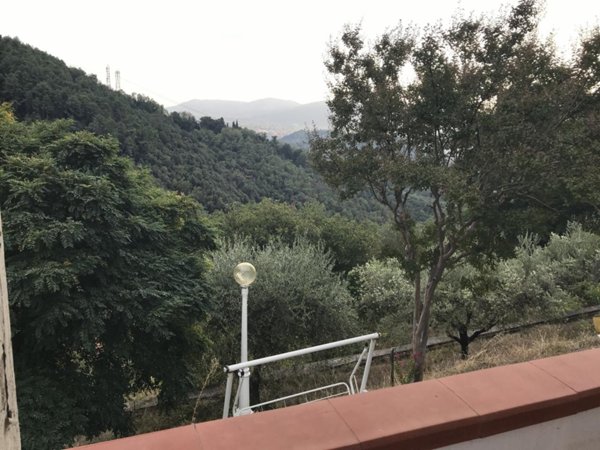 pentavano in affitto a Sarzana