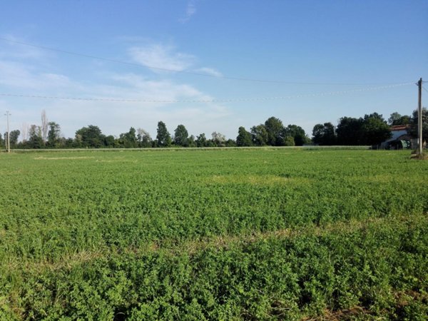 appartamento in vendita a Sarzana in zona Marinella di Sarzana