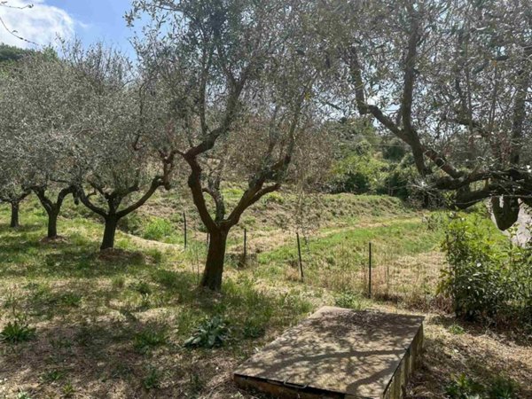casa indipendente in vendita a Sarzana in zona Falcinello