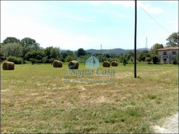 terreno agricolo in vendita a Sarzana