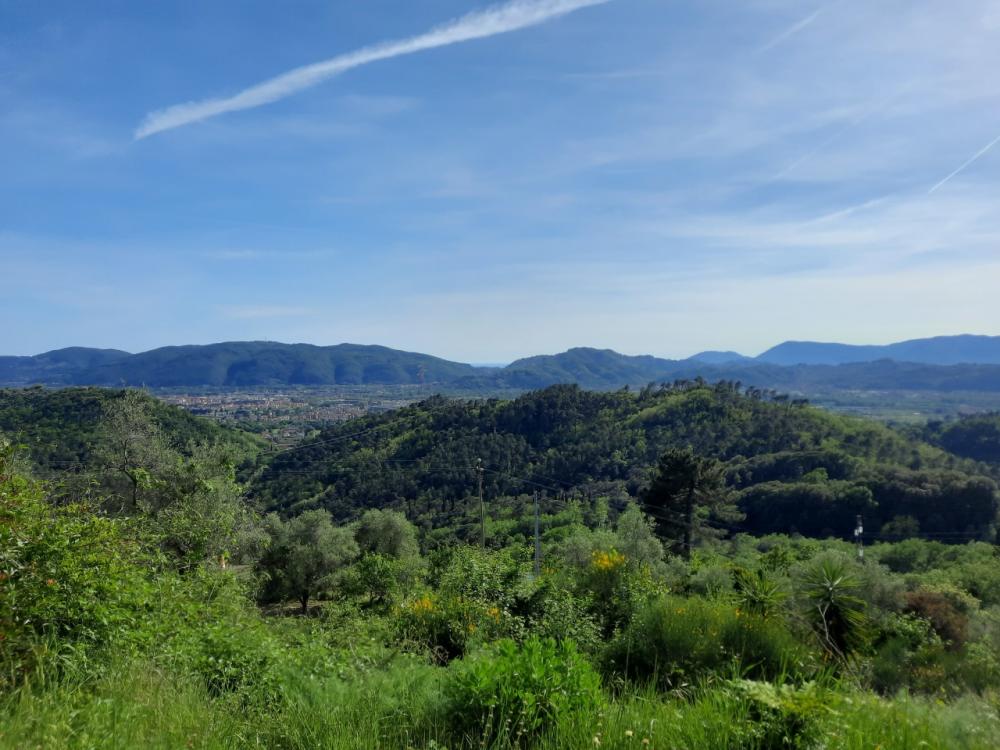 casa indipendente in vendita a Sarzana