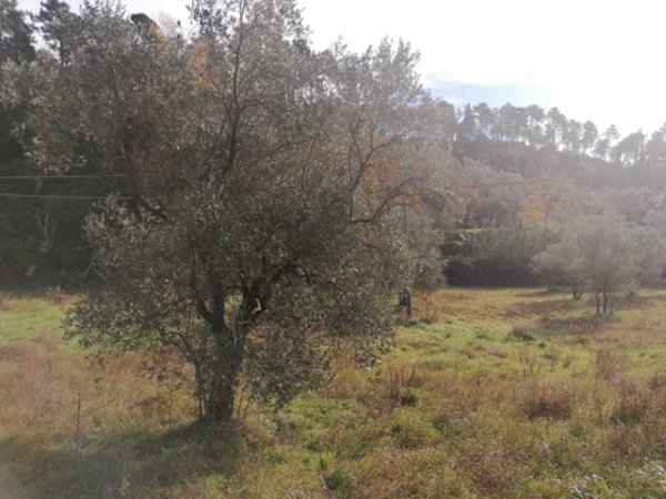 casa indipendente in vendita a Sarzana
