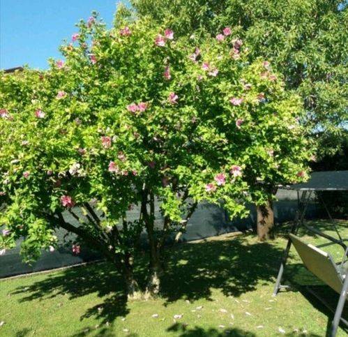 casa indipendente in vendita a Sarzana