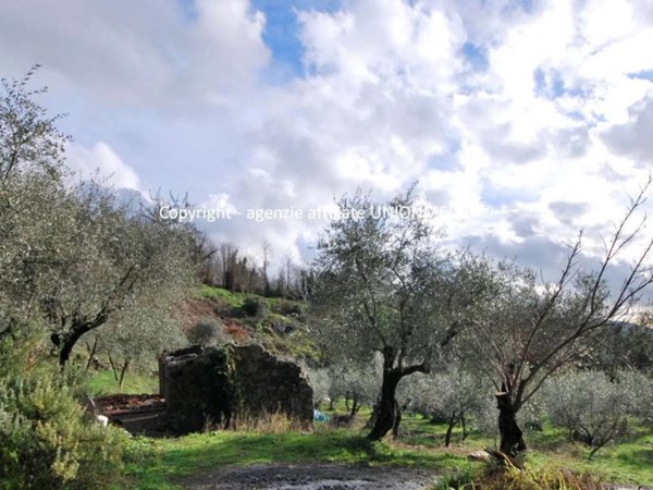 casa indipendente in vendita a Sarzana in zona Falcinello