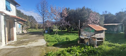 casa indipendente in vendita a Sarzana in zona Marinella di Sarzana
