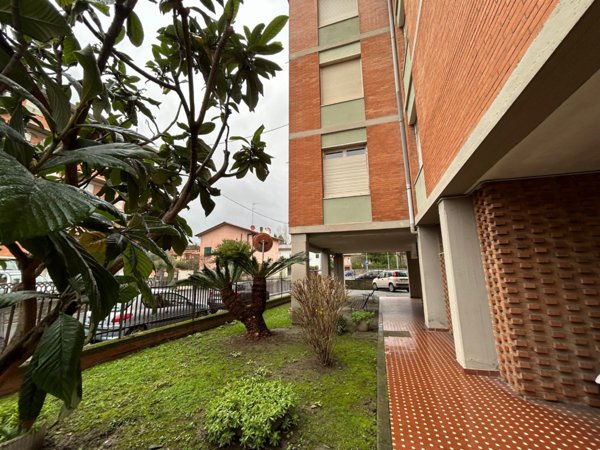 appartamento in vendita a Sarzana