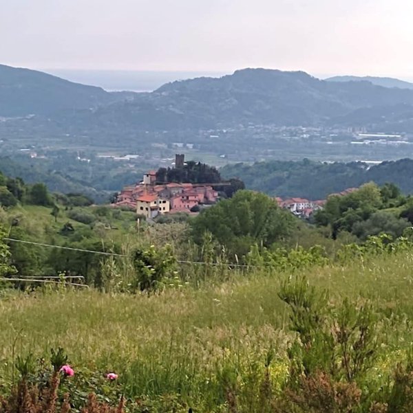 appartamento in vendita a Sarzana in zona Falcinello
