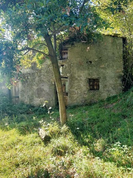 appartamento in vendita a Sarzana in zona Falcinello