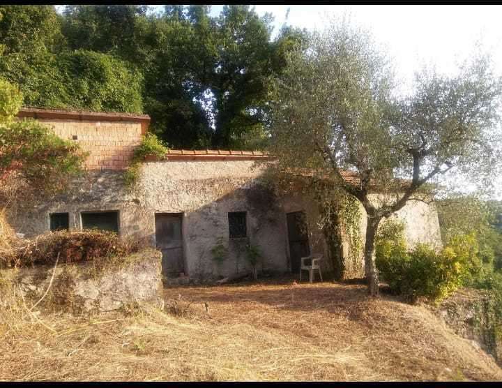 intera palazzina in vendita a Sarzana in zona Falcinello