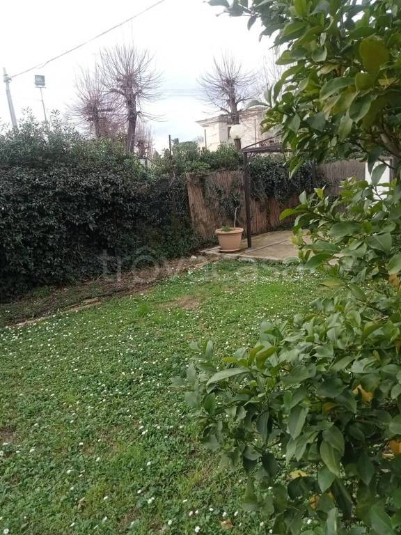 casa indipendente in vendita a Sarzana