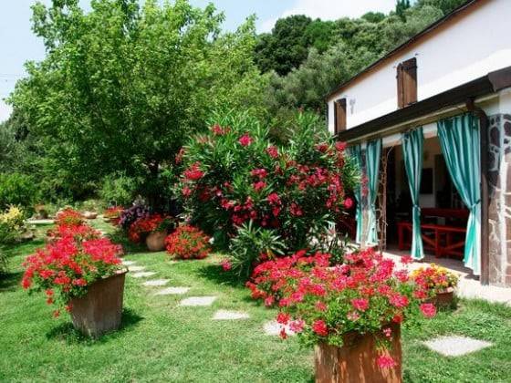 negozio in vendita a Sarzana in zona Falcinello