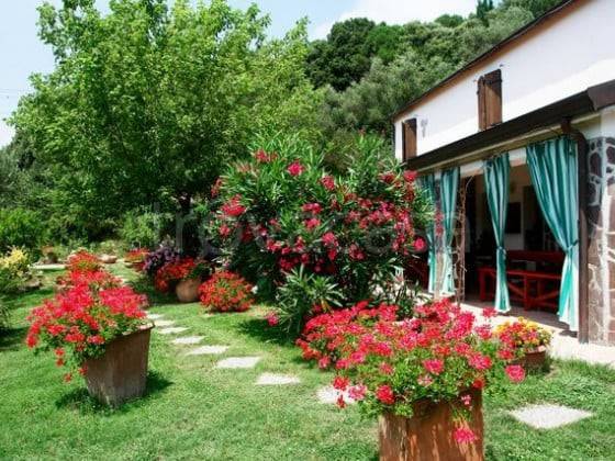 negozio in vendita a Sarzana