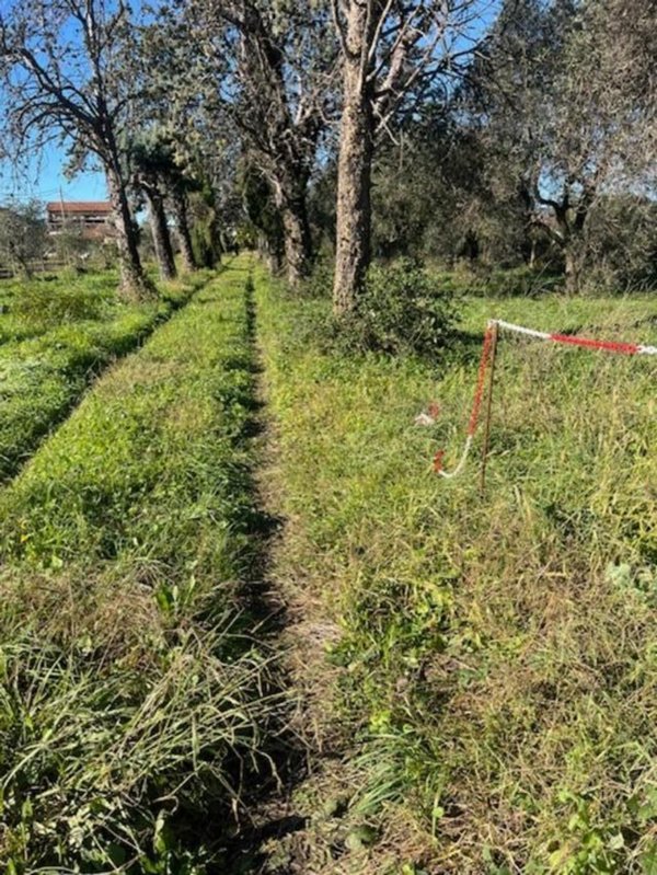 appartamento in vendita a Sarzana