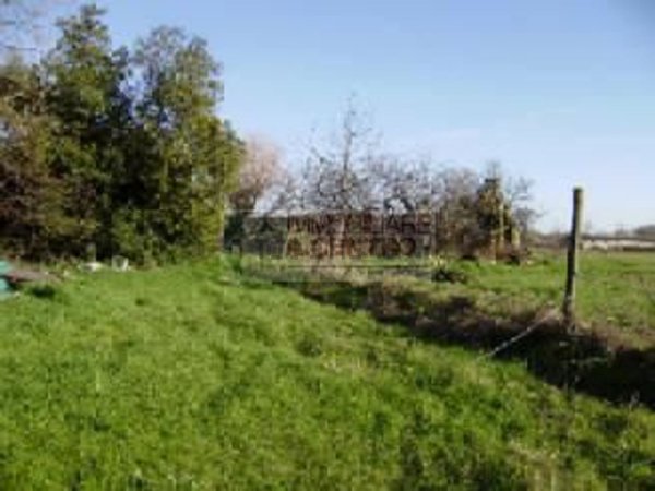 casa indipendente in vendita a Sarzana