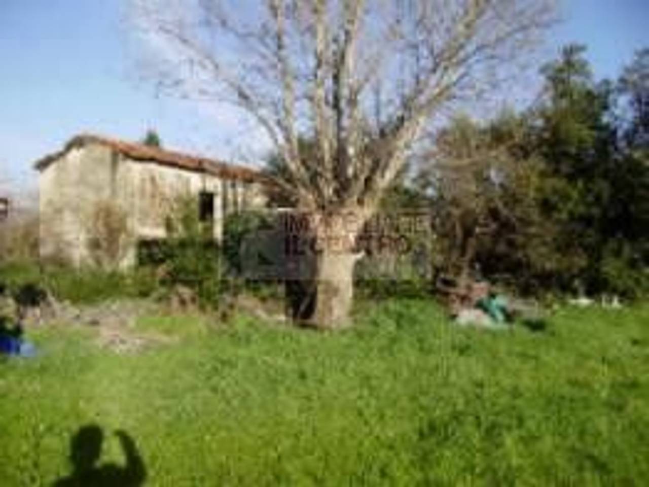 casa indipendente in vendita a Sarzana