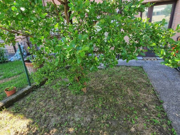 appartamento in vendita a Sarzana