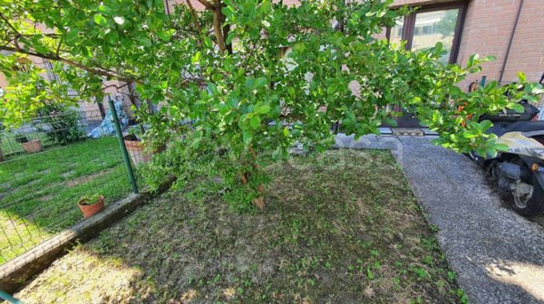 appartamento in vendita a Sarzana