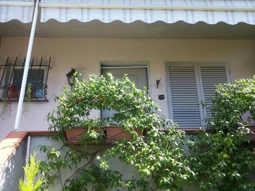 casa indipendente in vendita a Sarzana