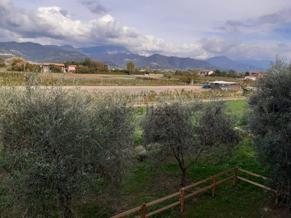 casa indipendente in vendita a Sarzana