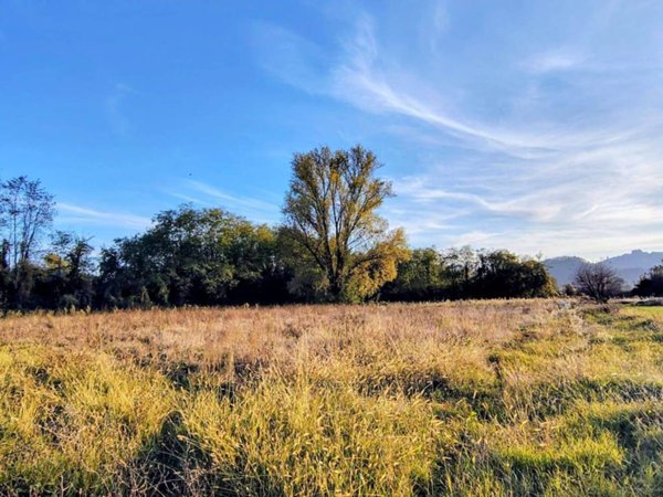 terreno agricolo in vendita a Sarzana in zona Falcinello