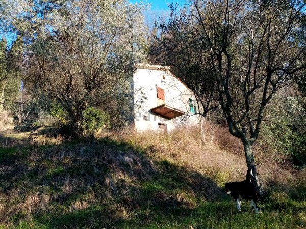 casale in vendita a Sarzana in zona Falcinello