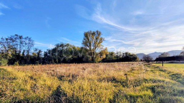 terreno agricolo in vendita a Sarzana